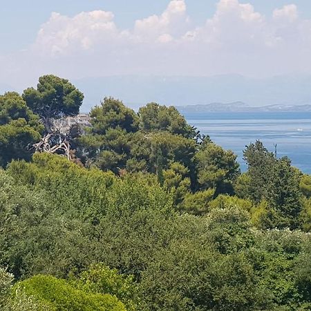 Mon Repos Panorama Daire Korfu Dış mekan fotoğraf